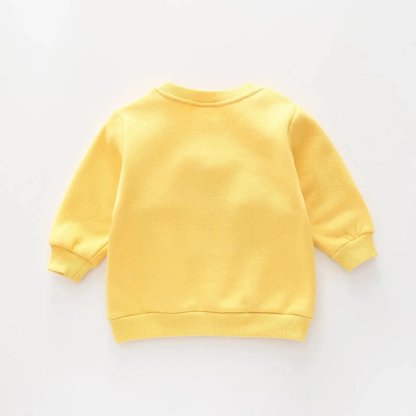 Jungle King, Baby Boys Sweat Top