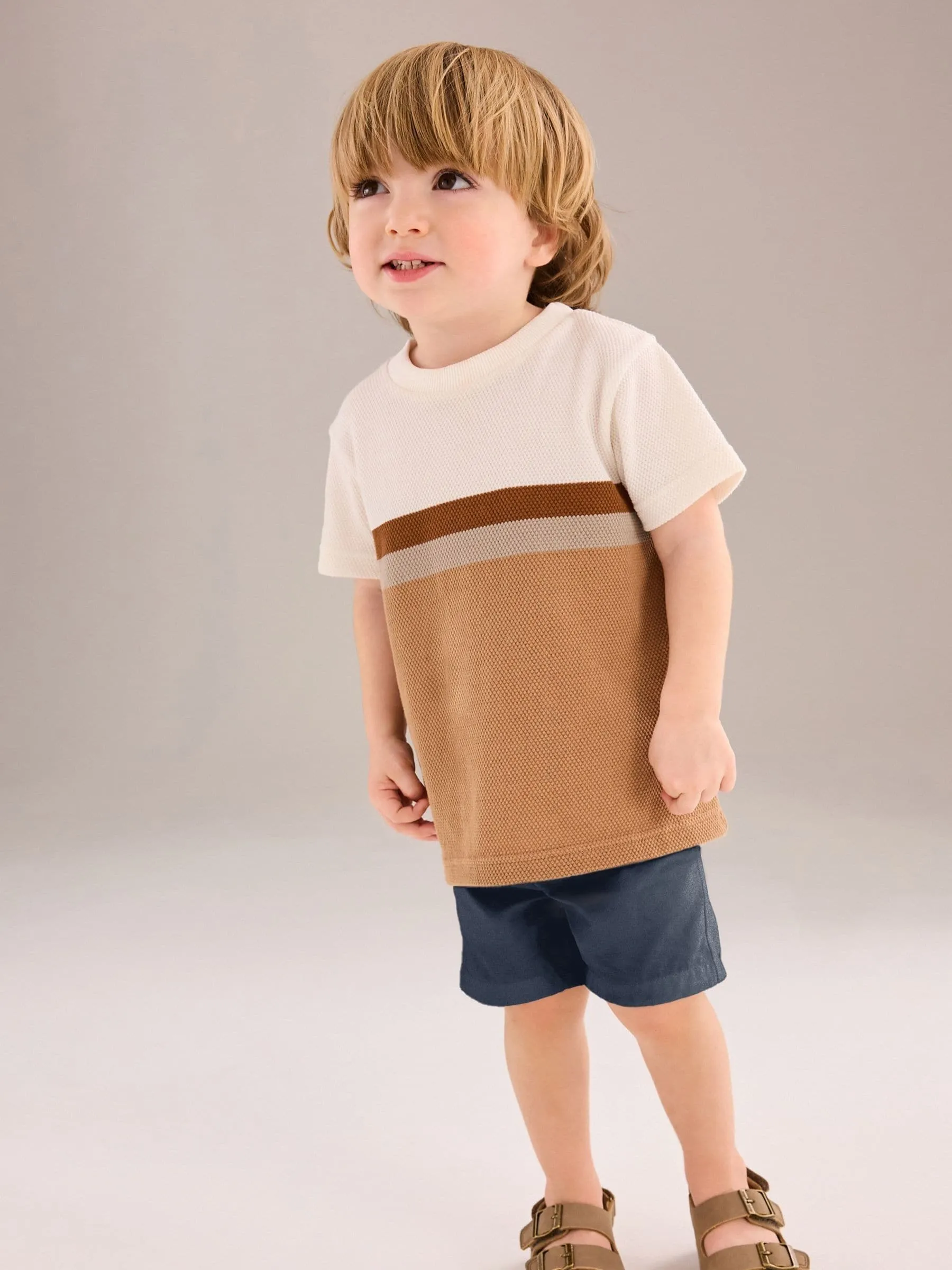 Navy Chinos Shorts (3mths-7yrs)
